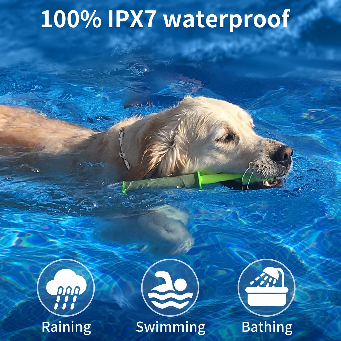 Waterproof Pet Remote Control Charging Customized Electric Training Dog Impact Pet Collar